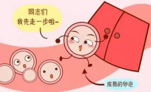 移植鲜胚成功率低？或与这几个原因有关