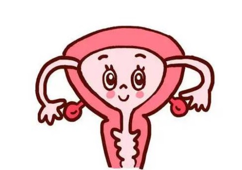 蔓越莓对有子宫肌瘤的人有什么影响,子宫肌瘤吃蔓越莓可以吗